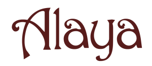 Instituto Superior ALAYA - Sede Centrosur